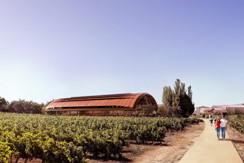foster-and-partners-winery-hero-492x328.jpg