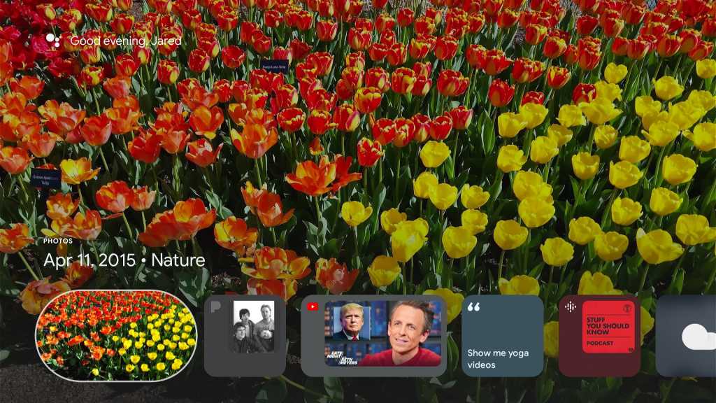 Ambient mode on Google TV, showing a photo of flowers.