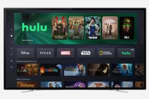 Get ready for Hulu in your Disney+ 