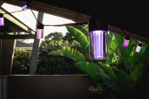 LIFX is back with new outdoor smart lights 