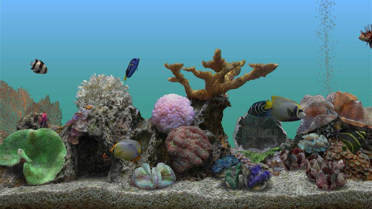 Roku Aquatic Life screensaver