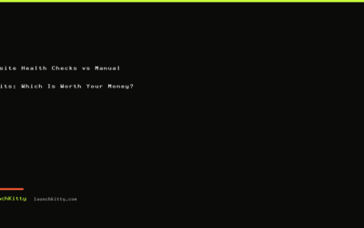 Website Health Checks vs Manual Audits: Which Is Worth Your Money?